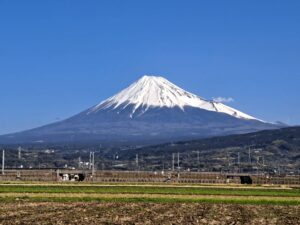 青空に映える富士山　天神社で桜が開花